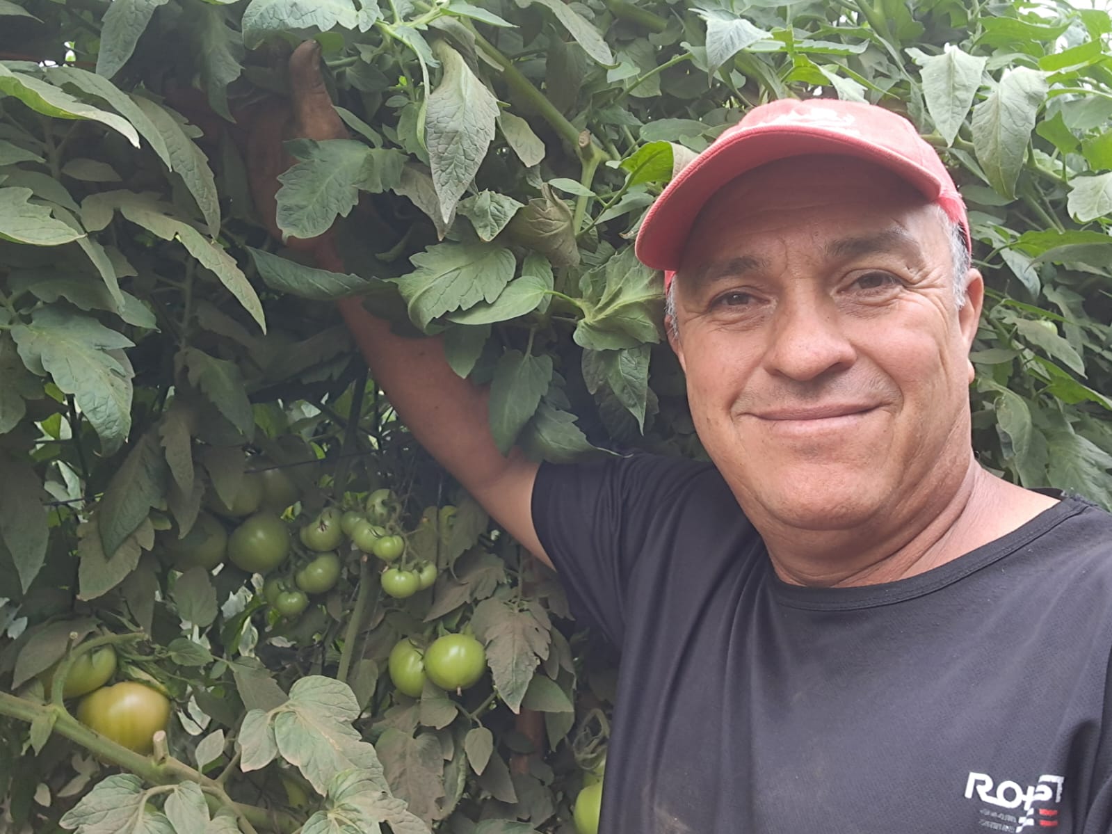 Cultivo en Turrialba