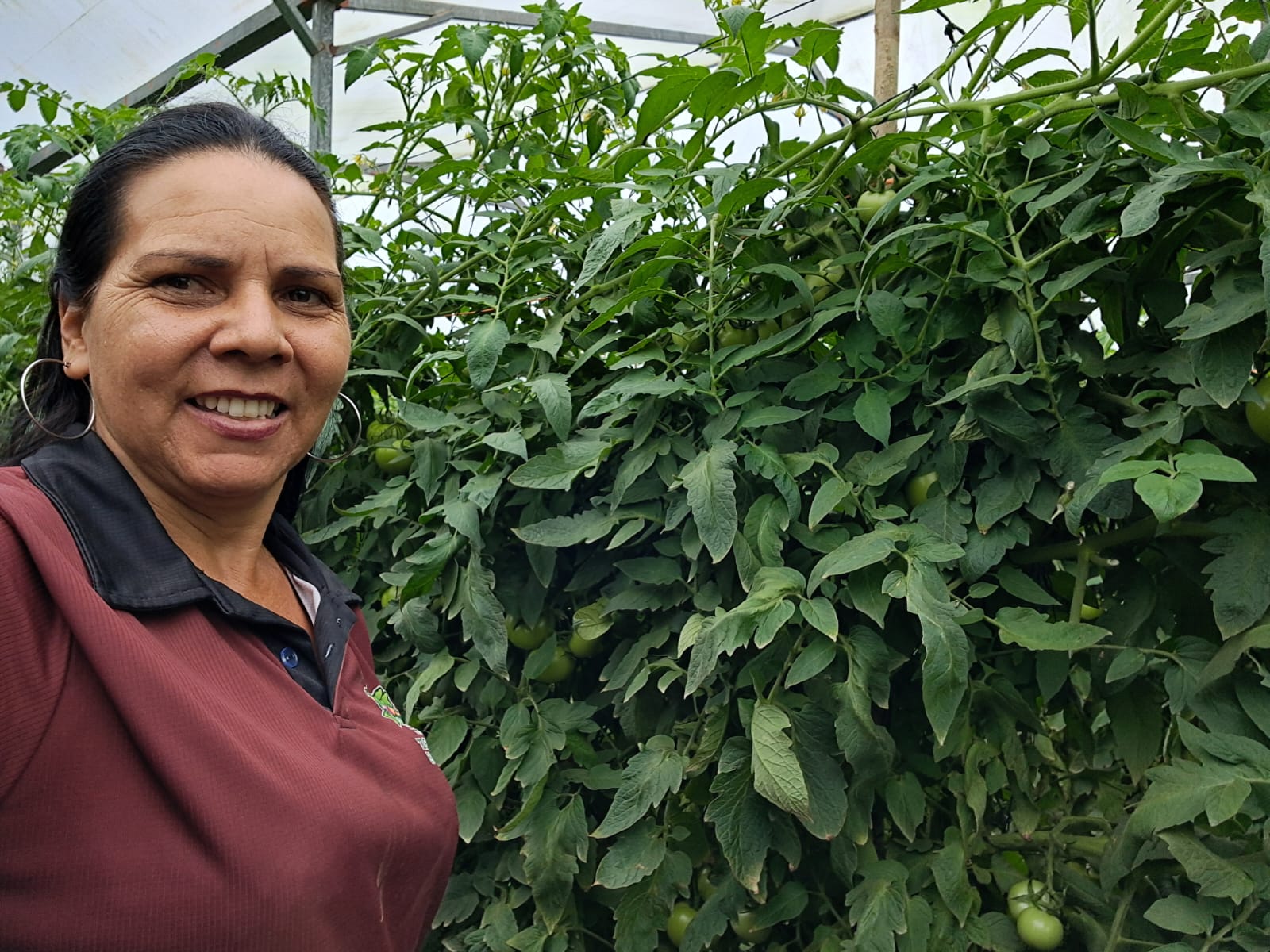 Cultivo en San Antonio